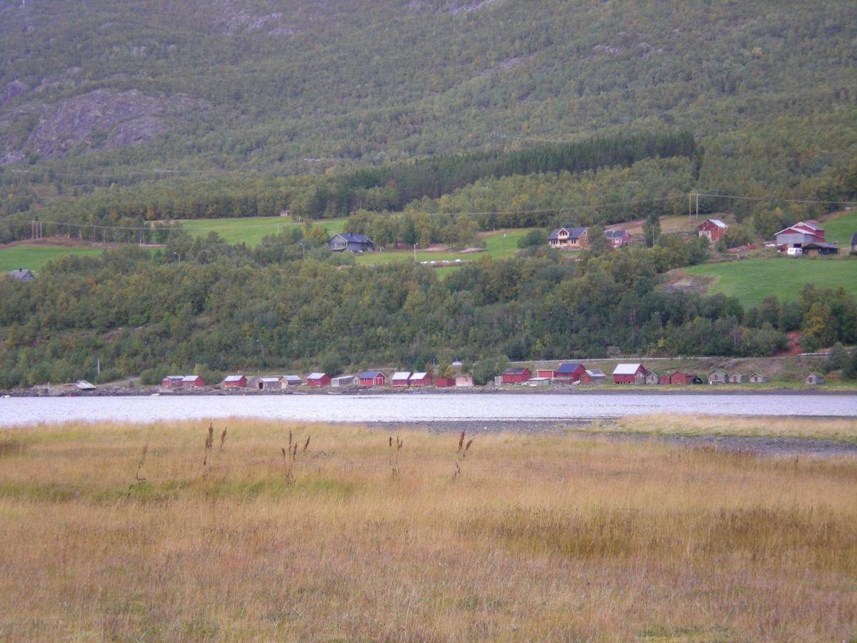Basecamp Birtavarre Bagian luar foto