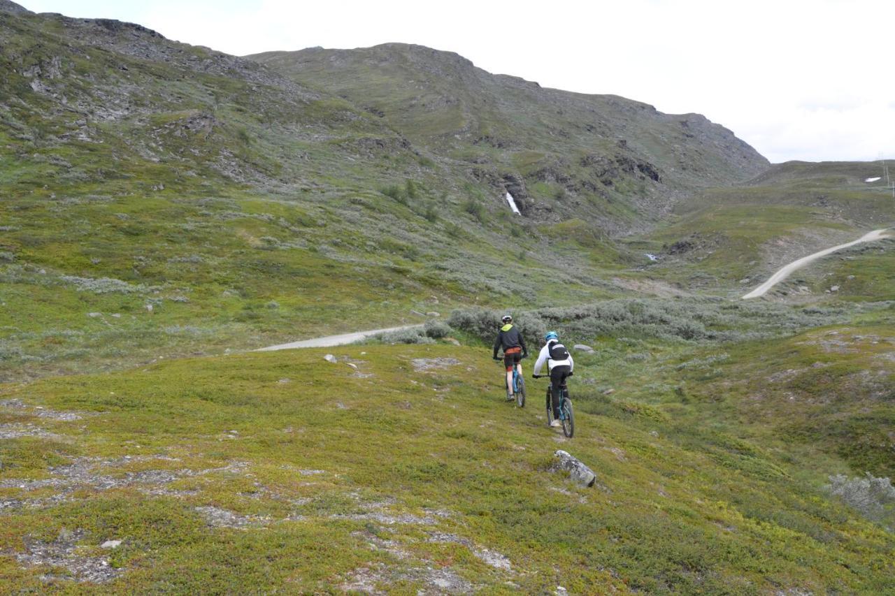Basecamp Birtavarre Bagian luar foto