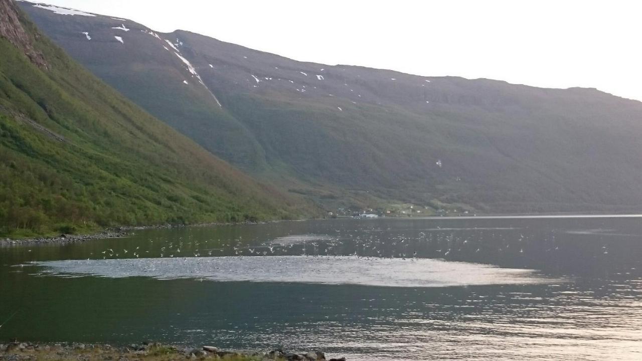 Basecamp Birtavarre Bagian luar foto